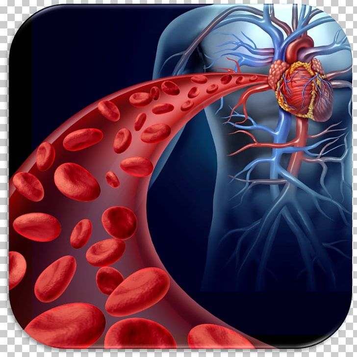 Red Blood Cell Thrombus Circulatory System Heart Stem Cell PNG, Clipart, Artery, Blood, Blood Cell, Blood Vessel, Cardiovascular Disease Free PNG Download