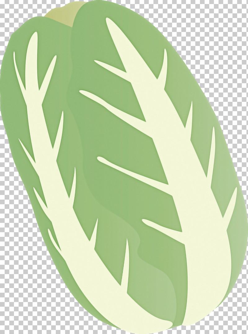 Nappa Cabbage PNG, Clipart, Green, Leaf, Leaf Vegetable, Monstera Deliciosa, Nappa Cabbage Free PNG Download