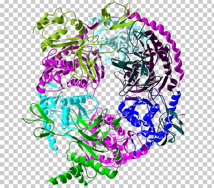 Exosome Complex RNA Protein Complex Exoribonuclease Cell PNG, Clipart, Archaeans, Biochemistry, Biology, Cell, Circle Free PNG Download