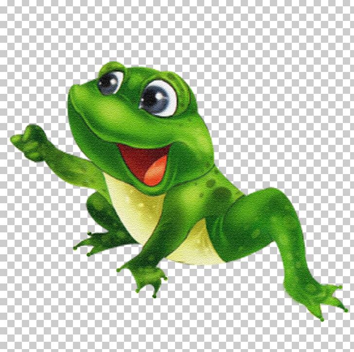Frog Photography PNG, Clipart, Amphibian, Animal, Animals, Cartoon, Cute Frog Free PNG Download