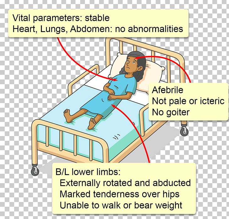 Furniture Point PNG, Clipart, Angle, Animated Cartoon, Area, Art, Diagram Free PNG Download