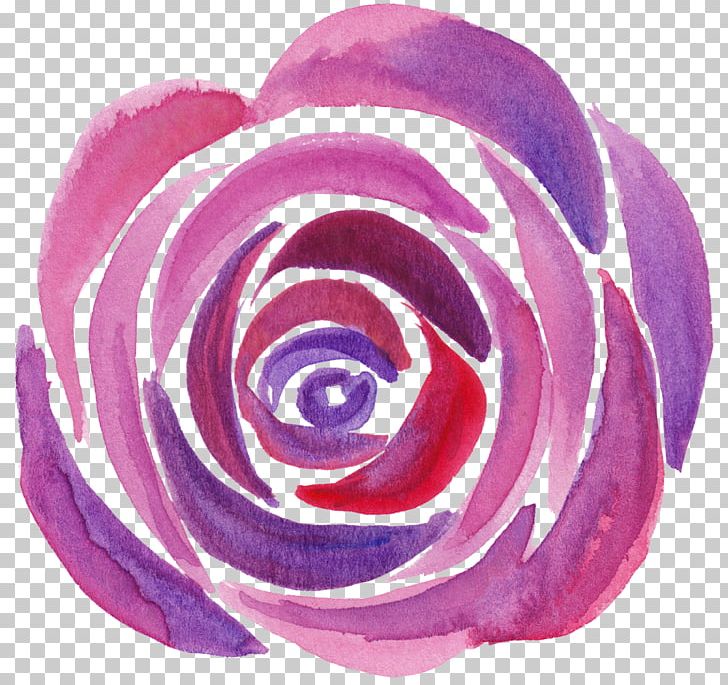 Garden Roses Wine NSYNC It's Gonna Be Me PNG, Clipart,  Free PNG Download