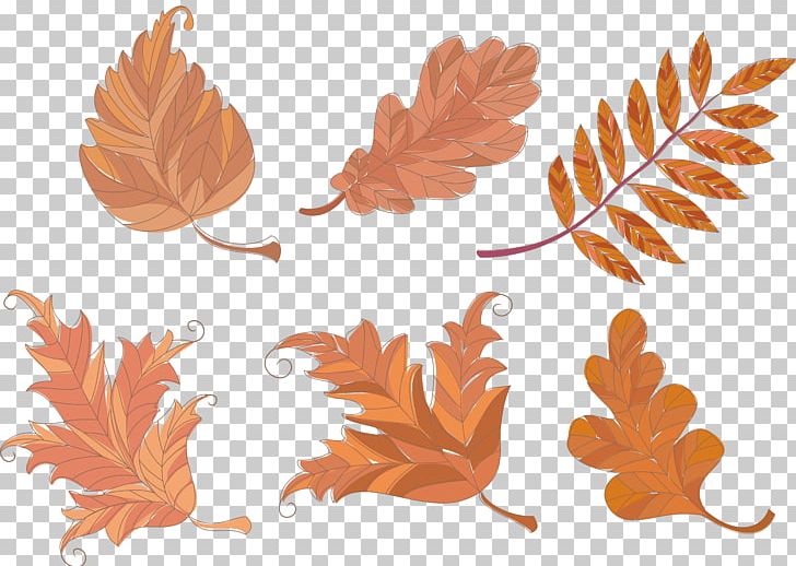 Leaf Petal Yellow PNG, Clipart, Autumn Leaves, Brown, Leaf, Nature, Orange Free PNG Download