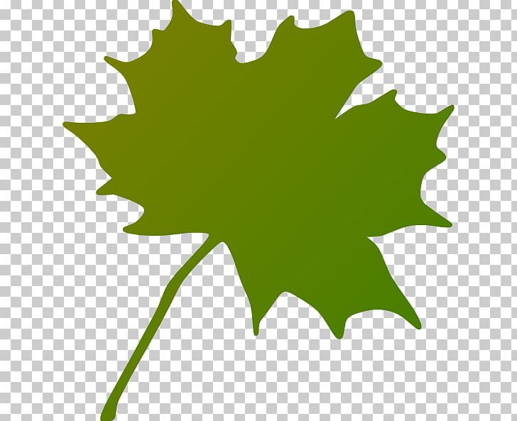 Maple Leaf PNG, Clipart, Arecaceae, Branch, Canada, Computer Icons, Flag Of Canada Free PNG Download