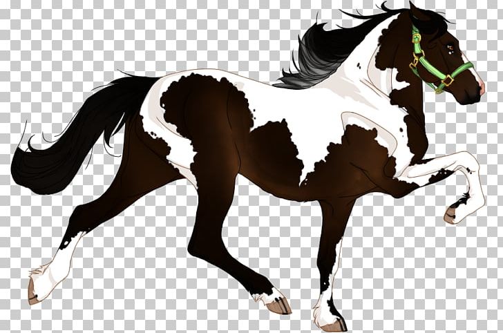 Stallion Mare Mane Mustang Foal PNG, Clipart, Animal Figure, Bay, Bridle, Colt, Equestrian Free PNG Download