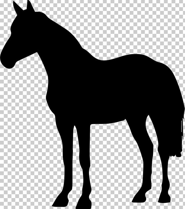 Arabian Horse Black Forest Horse Friesian Horse Silhouette PNG, Clipart, Animals, Arabian Horse, Black, Black And White, Black Forest Horse Free PNG Download