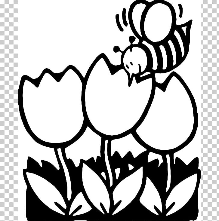 Black And White Flower Line Art PNG, Clipart, Artwork, Black, Black And White, Cip Art, Download Free PNG Download