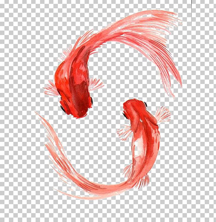 Koi Carassius Auratus Watercolor Painting Fish PNG, Clipart, Animals, Art, Artist Trading Cards, Blue, Canvas Free PNG Download