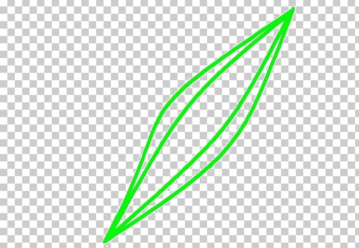 Leaf Line Angle Plant Stem PNG, Clipart, Angle, Grass, Green, Leaf, Linden Free PNG Download