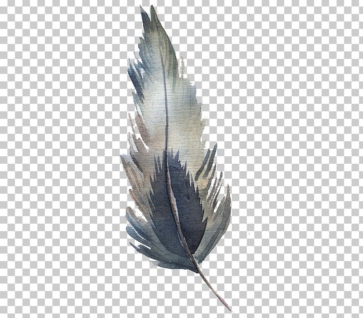 Watercolor Feather PNG, Clipart, Autumn, Black, Cartoon, Computer Icons, Decorate Free PNG Download