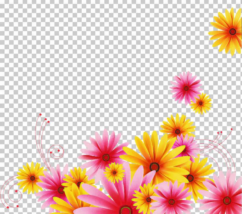 Gerbera Daisy Marguerite PNG, Clipart, Chrysanthemum, Cut Flowers, Daisy, Floral Design, Flower Free PNG Download