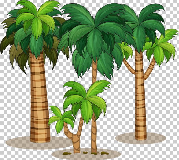 Coconut Milk Tree PNG, Clipart, Beach Material, Beach Vector, Creative Posters, Family Tree, Happy Birthday Vector Images Free PNG Download