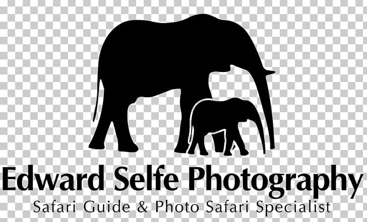 Indian Elephant African Elephant Endangered Species Animal Elephantidae PNG, Clipart, Animal, Animals, Australian Wildlife Conservancy, Black And White, Brand Free PNG Download