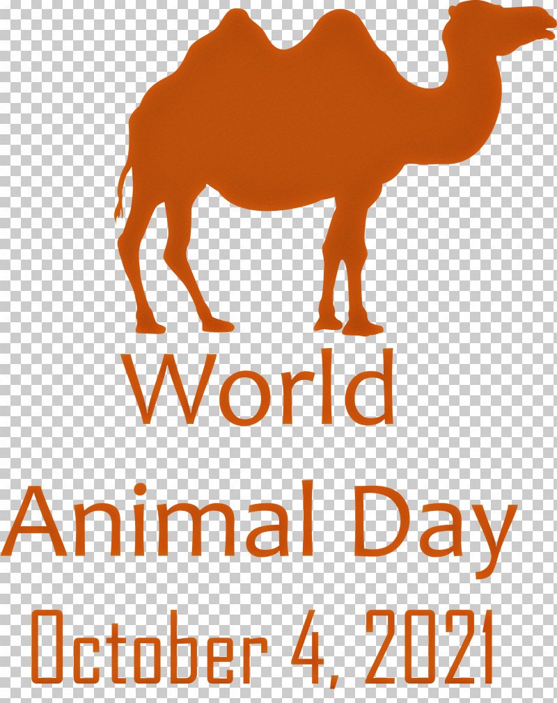 World Animal Day Animal Day PNG, Clipart, Animal Day, Camels, Dromedary, Geometry, Line Free PNG Download