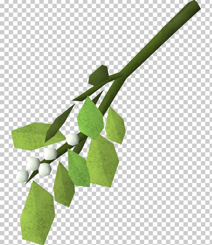 Mistletoe RuneScape Phoradendron Tomentosum Plant Kiss PNG, Clipart, Branch, Christmas, Game, Jagex, Kiss Free PNG Download