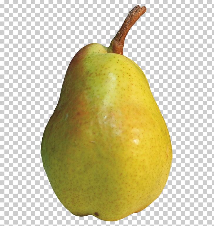 Pear Fruit PNG, Clipart, Accessory Fruit, Apple, Avocado, Berry, Computer Icons Free PNG Download