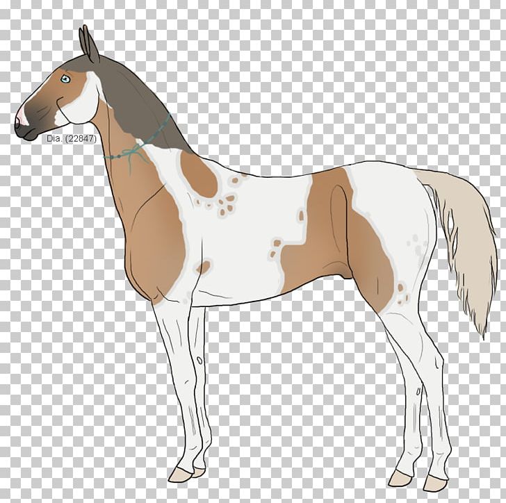 Mule Foal Stallion Mare Donkey PNG, Clipart, Animal Figure, Animals, Bridle, Colt, Daphnis Free PNG Download