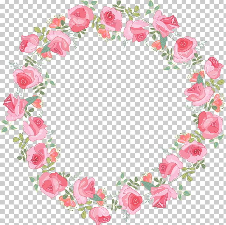 Rosa Multiflora Beach Rose PNG, Clipart, Area, Circle, Designer, Floral Design, Floristry Free PNG Download