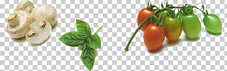 Vegetable Cherry Tomato Organic Food Fruit PNG, Clipart, Bell, Bell Pepper, Birds Eye Chili, Cayenne Pepper, Chili Pepper Free PNG Download