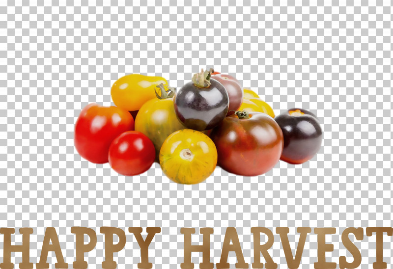 French Fries PNG, Clipart, Cherry Tomatoes, Cooking, Dish, French Fries, Happy Harvest Free PNG Download