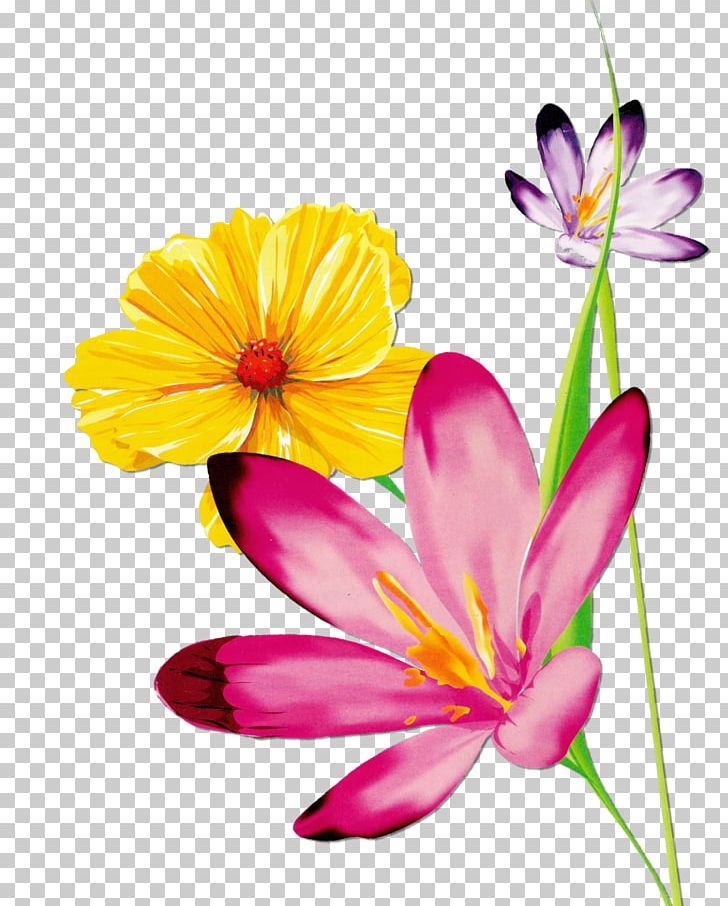 Butterfly Flower Floral Design PNG, Clipart, Artificial Flower, Butterfly, Cartoon, Color, Daisy Family Free PNG Download