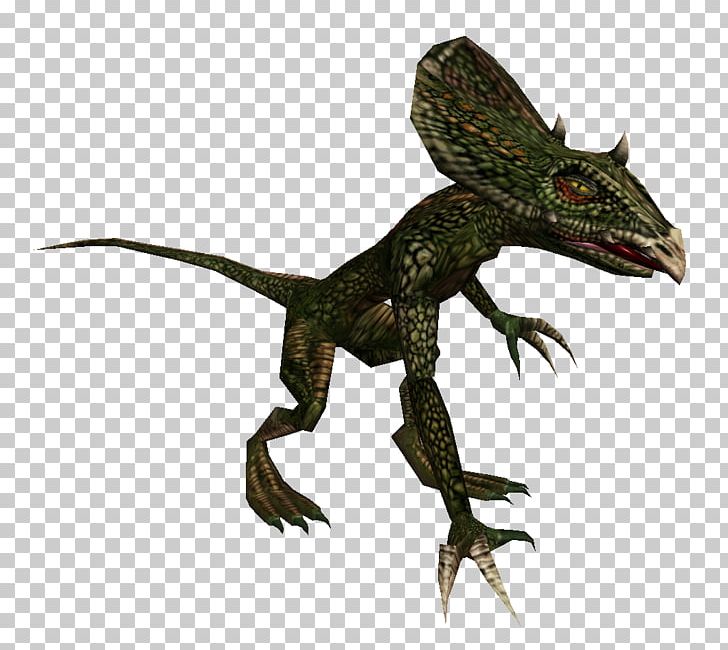 Dragon Lizards Velociraptor Fauna Terrestrial Animal PNG, Clipart, Agamidae, Ancient Beast, Animal, Animals, Dinosaur Free PNG Download