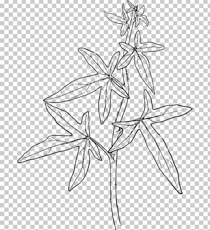 Ivy Plant Vine PNG, Clipart, Artwork, Black And White, Branch, Drawing, Fictional Character Free PNG Download