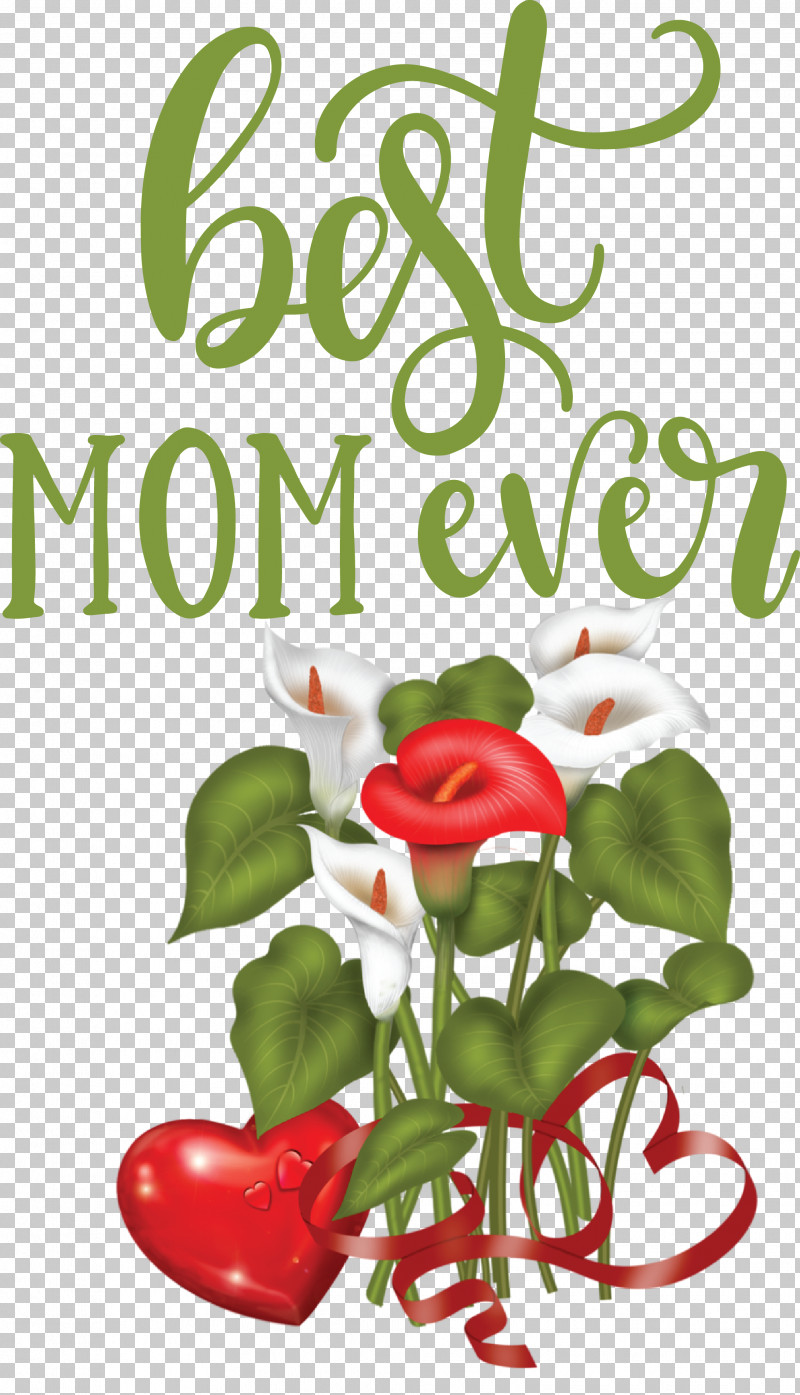 Mothers Day Best Mom Ever Mothers Day Quote PNG, Clipart, Best Mom Ever, Category Of Being, Day, Gift, Good Free PNG Download