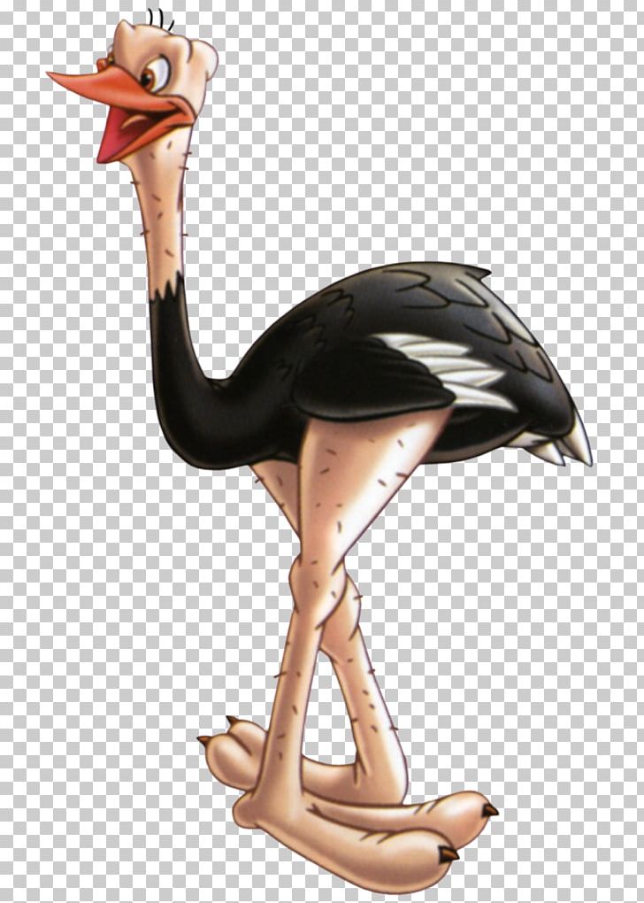 Common Ostrich Information Bird Computer Keyboard PNG, Clipart, Animal, Animals, Apng, Beak, Bird Free PNG Download