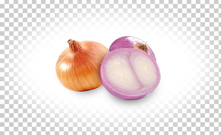 Fried Onion Red Onion Food Shallot Ingredient PNG, Clipart, Cooking, Dish, Food, Fried Onion, Frying Free PNG Download