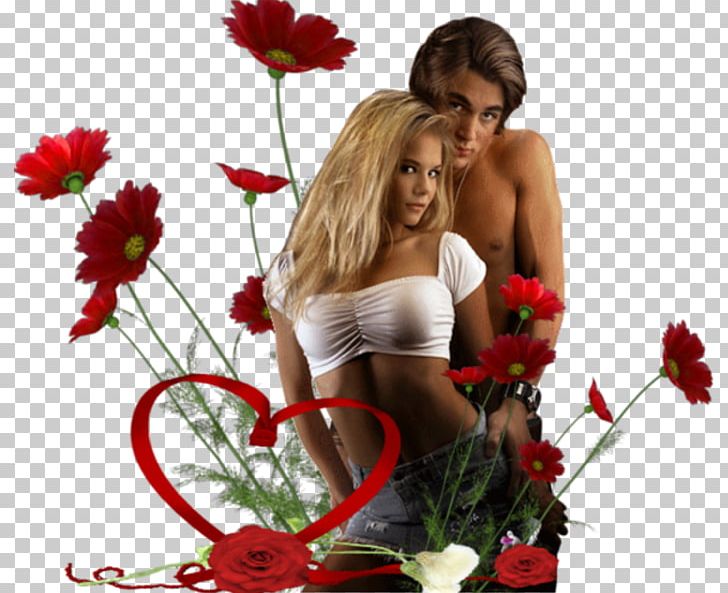 Garden Roses Valentine's Day Love Romance PNG, Clipart,  Free PNG Download