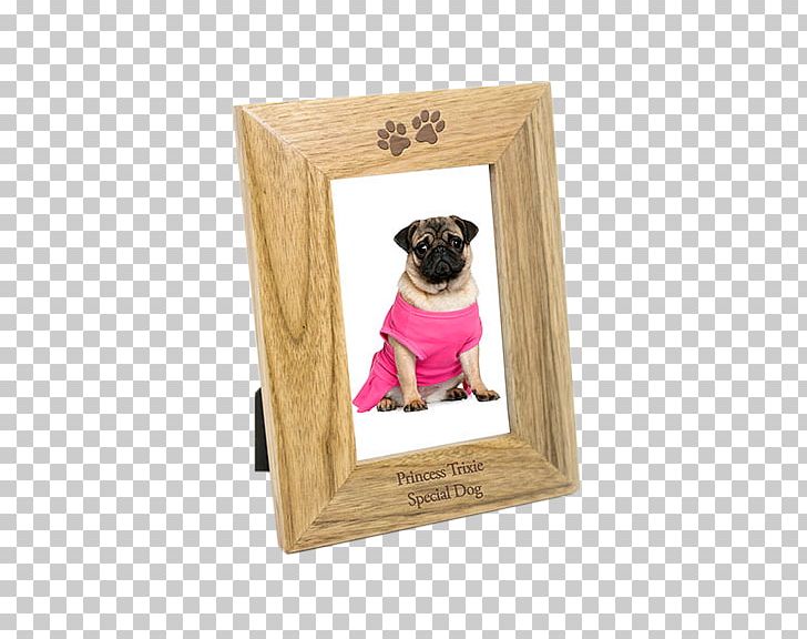 Pug Puppy Love Frames Breed PNG, Clipart, Animals, Breed, Carnivoran, Dog, Dog Frame Free PNG Download