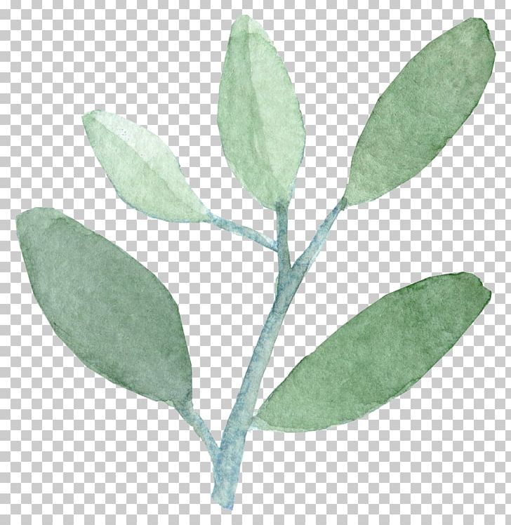 Watercolor Painting Leaf India Ink PNG, Clipart, Art, Craft Service, Film, Food, Herb Free PNG Download