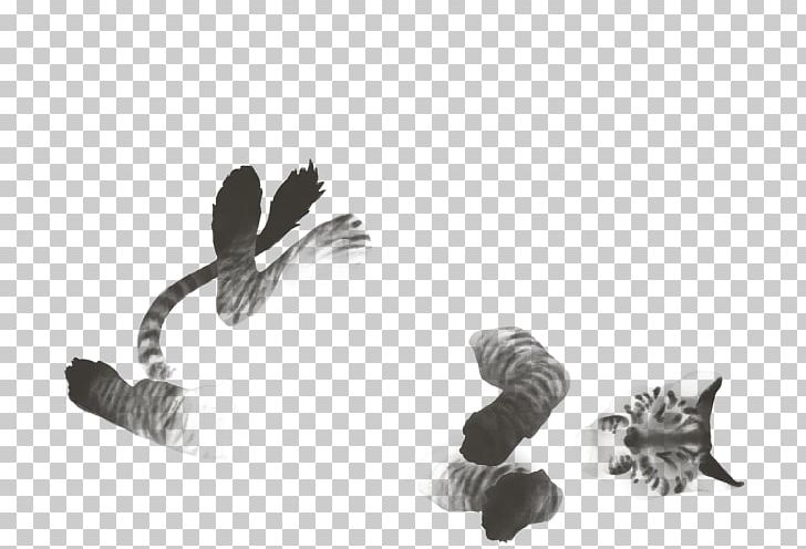 White PNG, Clipart, Black And White, Feather, Monochrome, Others, Tail Free PNG Download