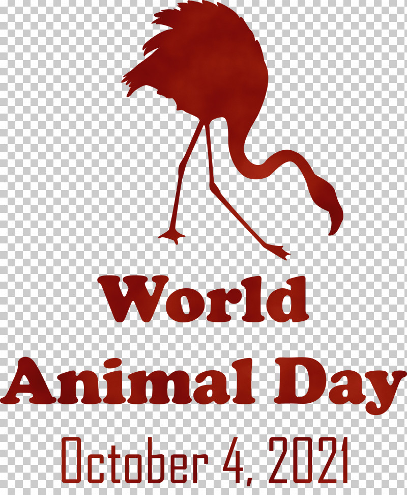 Birds Beak World Water Bird Logo PNG, Clipart, Animal Day, Beak, Biology, Birds, Logo Free PNG Download