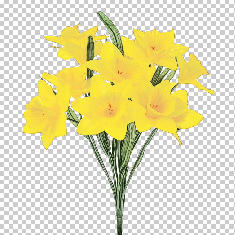 Flower Plant Yellow Cut Flowers Narcissus PNG, Clipart, Amaryllis Family, Bouquet, Cut Flowers, Flower, Gladiolus Free PNG Download