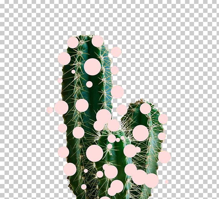 Art Drawing Collage Beauty PNG, Clipart, Cactaceae, Cactus, Cactus Cartoon, Cactus Flower, Cactus Vector Free PNG Download