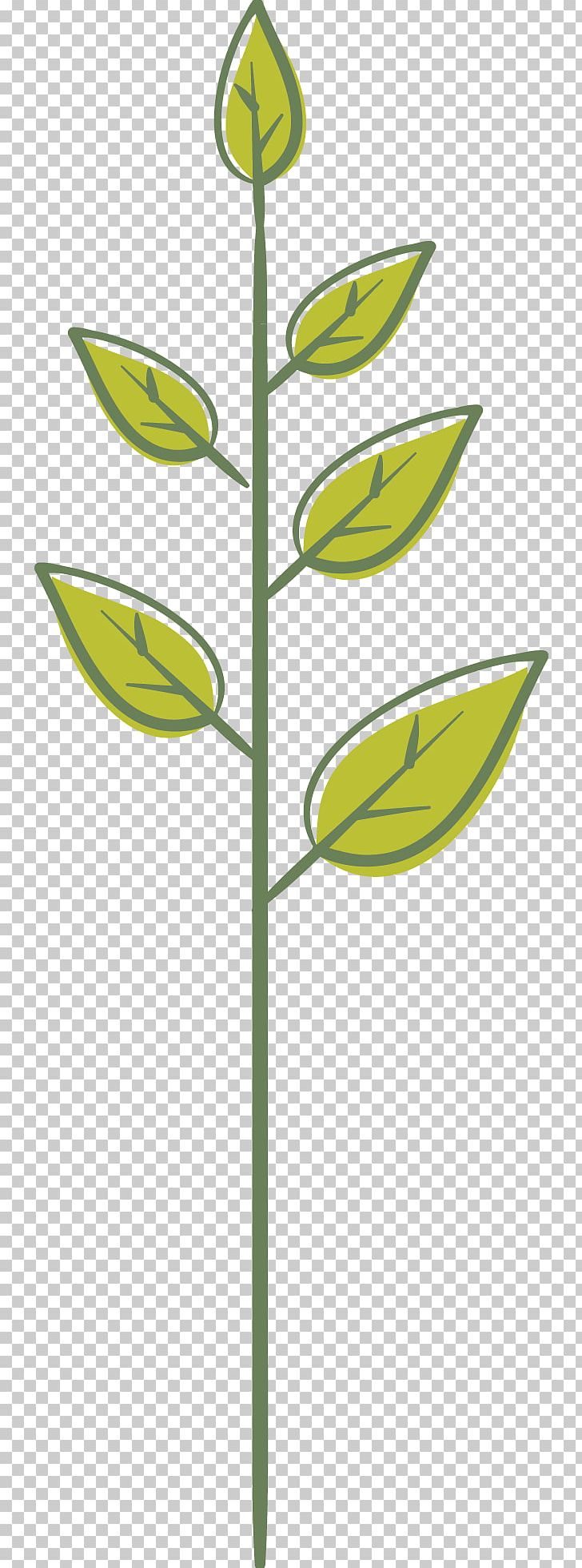 Leaf Green Plant Stem PNG, Clipart, Angle, Autumn Leaves, Banana Leaves, Fall Leaves, Green Free PNG Download