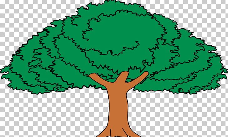 Tree Enterolobium Cyclocarpum Drawing Crown Forest PNG, Clipart, Area, Caricatura, Celeste River, Child, Color Free PNG Download