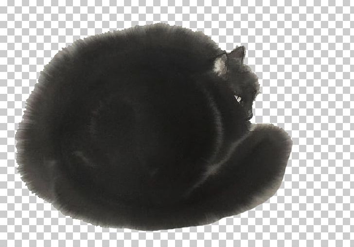 Black Cat Felidae Whiskers PNG, Clipart, Background Black, Black, Black Background, Black Board, Black Border Free PNG Download