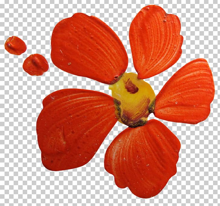Cut Flowers Petal Fruit PNG, Clipart, Autumn, Cut Flowers, Flower, Fruit, Nature Free PNG Download