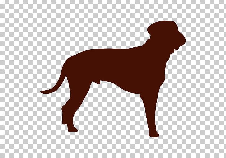 Labrador Retriever Dog Breed Puppy Companion Dog Dobermann PNG, Clipart, Carnivoran, Cat, Companion Dog, Dobermann, Dog Free PNG Download