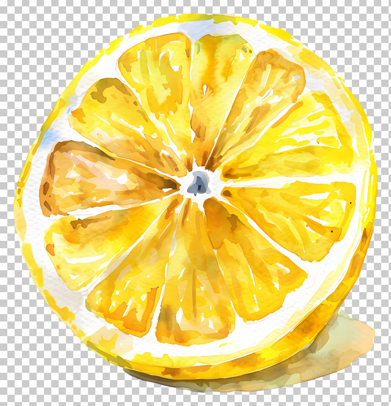 Sliced â€‹â€‹lemon - Watercolor Lemon Slice Illustration PNG