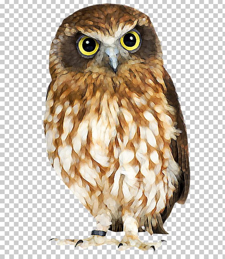 Eurasian Eagle-owl Bird True Owl Skazki I Kartinki Child PNG, Clipart, Age, Animals, Beak, Bird, Bird Of Prey Free PNG Download
