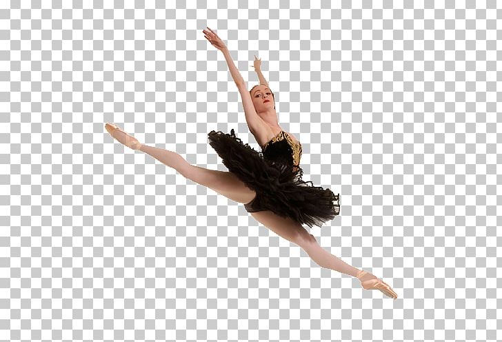 Ballet Dancer Ballet Dancer Swan Lake American Ballet Theatre PNG, Clipart, American Ballet Theatre, Art, Ballet, Ballet Dancer, Choreographer Free PNG Download