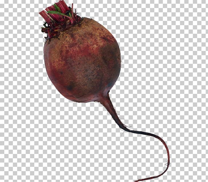 Common Beet Beetroot Borscht Vegetable PNG, Clipart, Beet, Beetroot, Borscht, Carrot, Class Free PNG Download