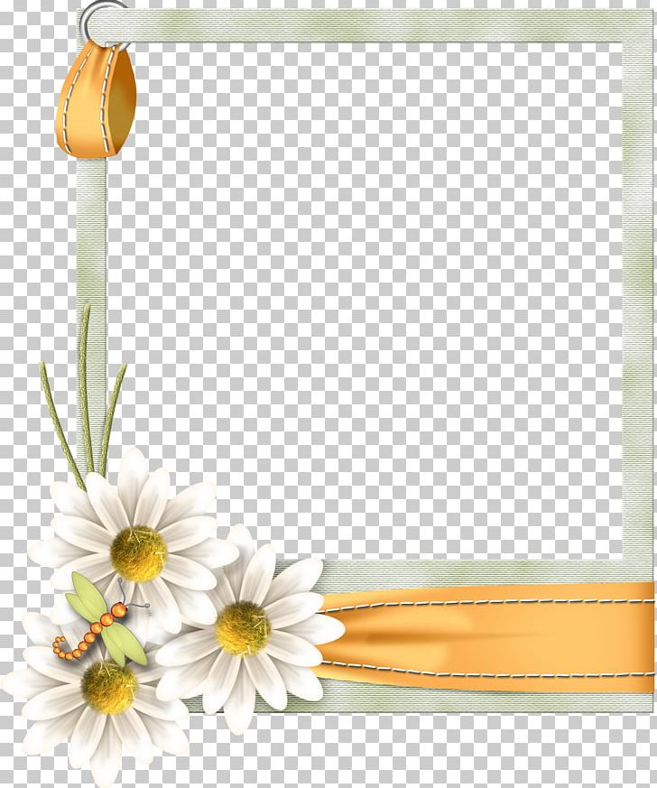 Frames Portable Network Graphics Snap Frame Graphics PNG, Clipart, Color, Cut Flowers, Daisy, Drawing, Flora Free PNG Download