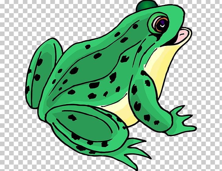 Frog Lithobates Clamitans Free Content PNG, Clipart, Amphibian, Artwork, Cartoon, Clip Art, Computer Free PNG Download