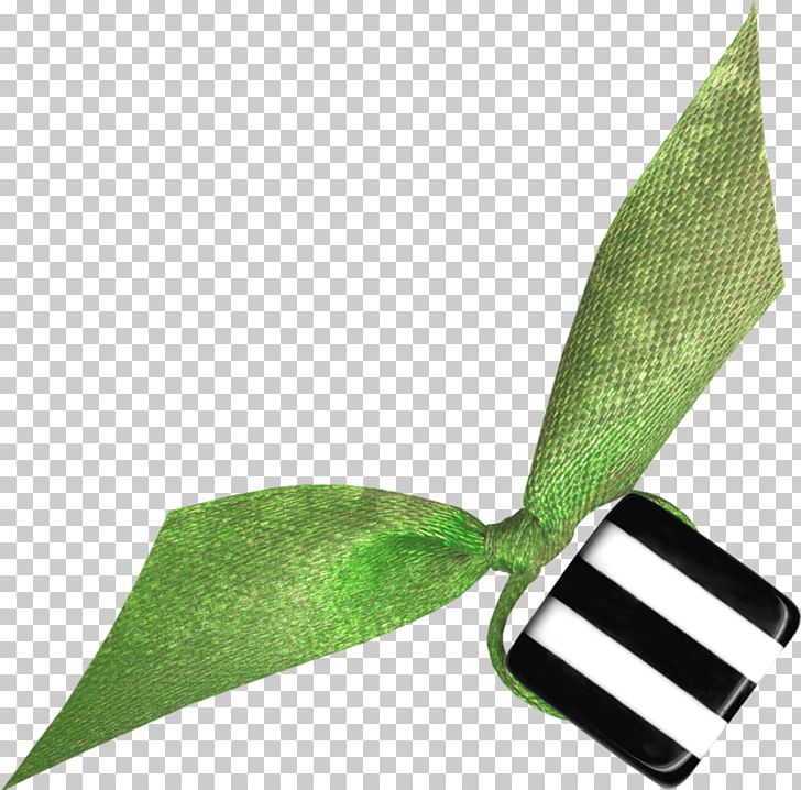 Leaf PNG, Clipart, Grass, Leaf, Plant Free PNG Download