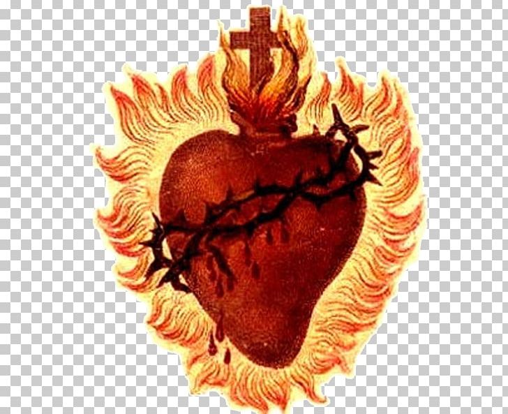 Sacred Heart Prayer First Friday Devotion Morning Offering Holy Spirit PNG, Clipart, Catholic Devotions, Feast Of The Sacred Heart, First Friday Devotion, Heart, Holy Spirit Free PNG Download